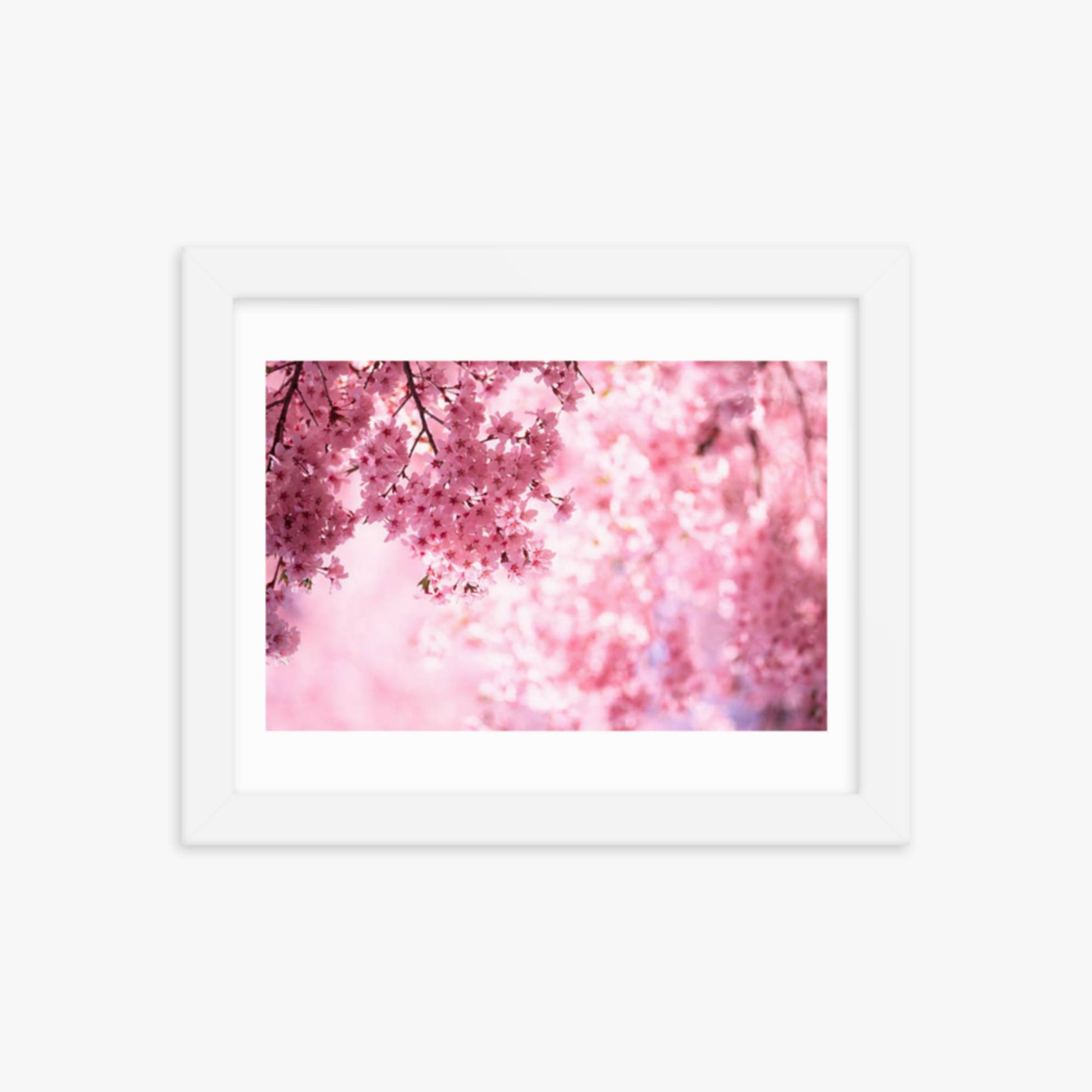 Pink Cherry Blossoms 8x10 in Poster With White Frame