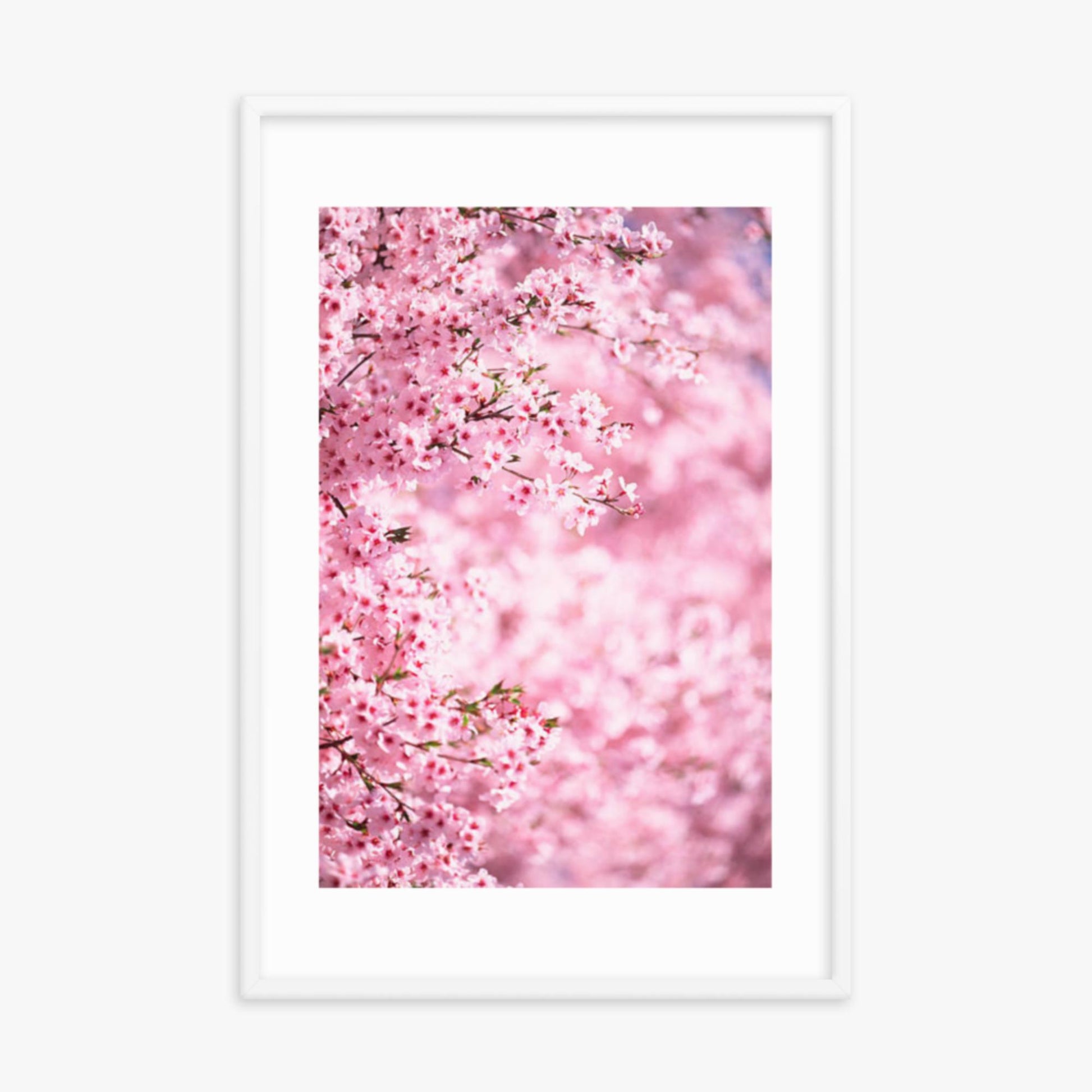 Pink Cherry Blossoms 2 24x36 in Poster With White Frame