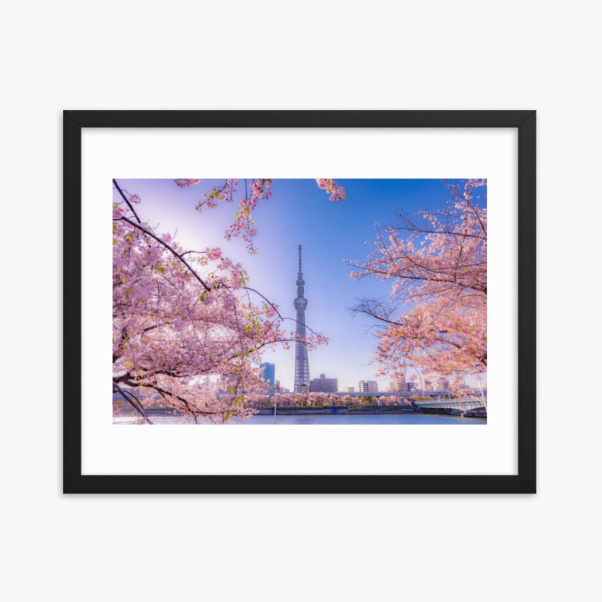 Cherry blossom and building at Asakusa Sumida Park 16x20 in Poster With Black Frame