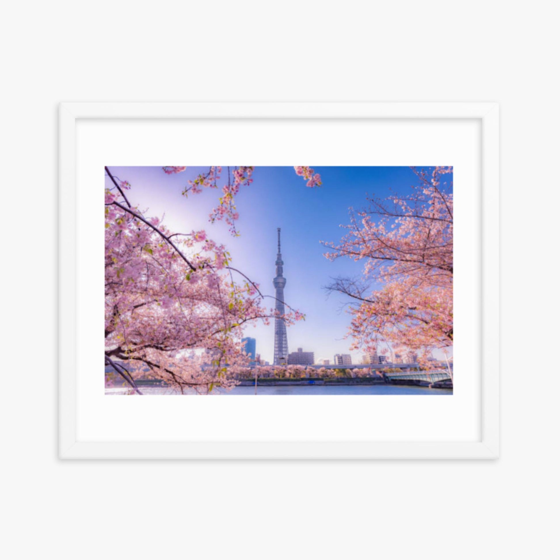 Cherry blossom and building at Asakusa Sumida Park 16x20 in Poster With White Frame