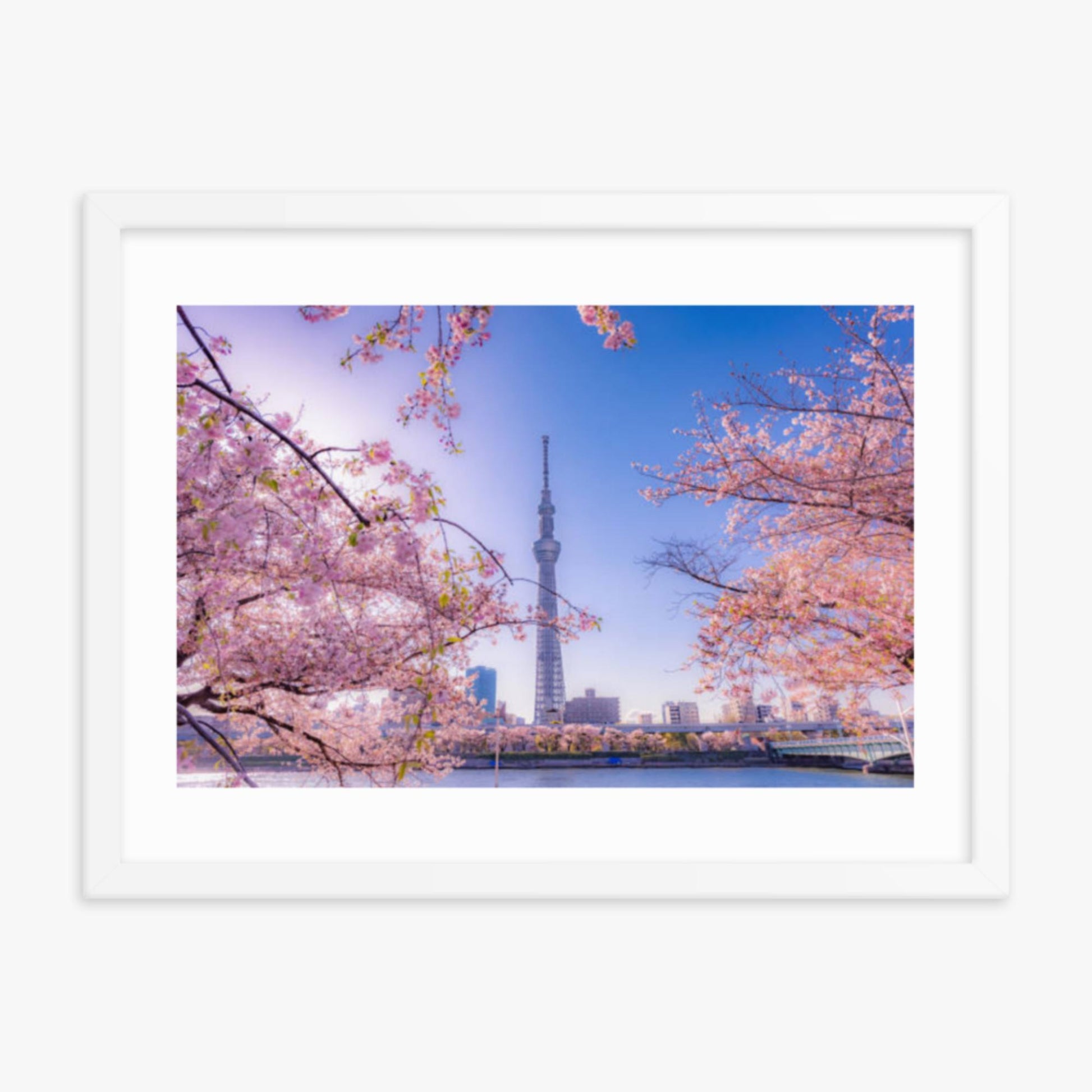 Cherry blossom and building at Asakusa Sumida Park 18x24 in Poster With White Frame