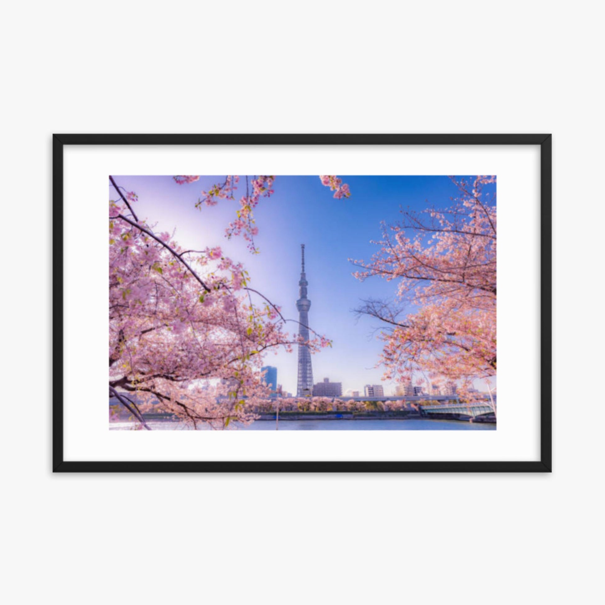 Cherry blossom and building at Asakusa Sumida Park 24x36 in Poster With Black Frame