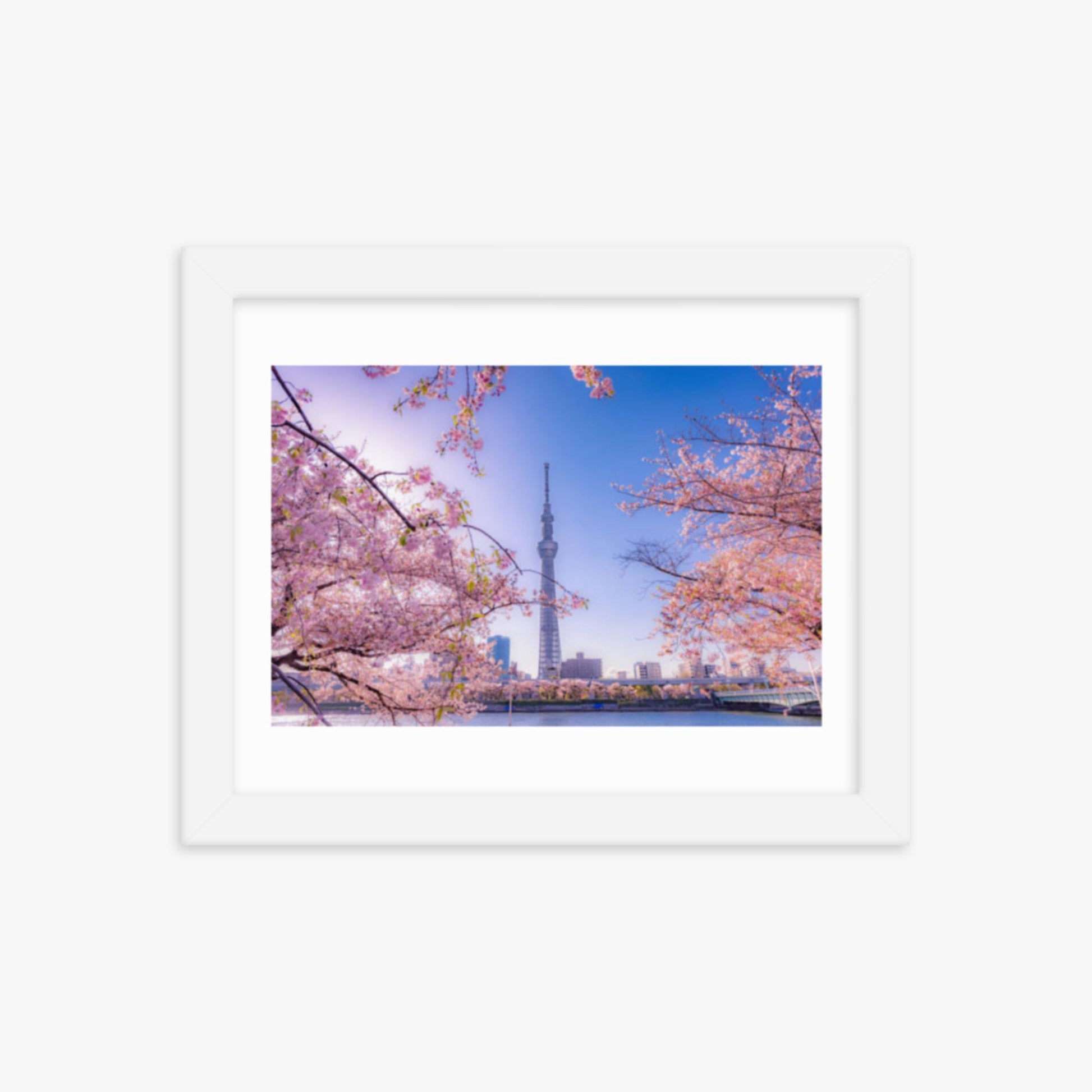 Cherry blossom and building at Asakusa Sumida Park 8x10 in Poster With White Frame