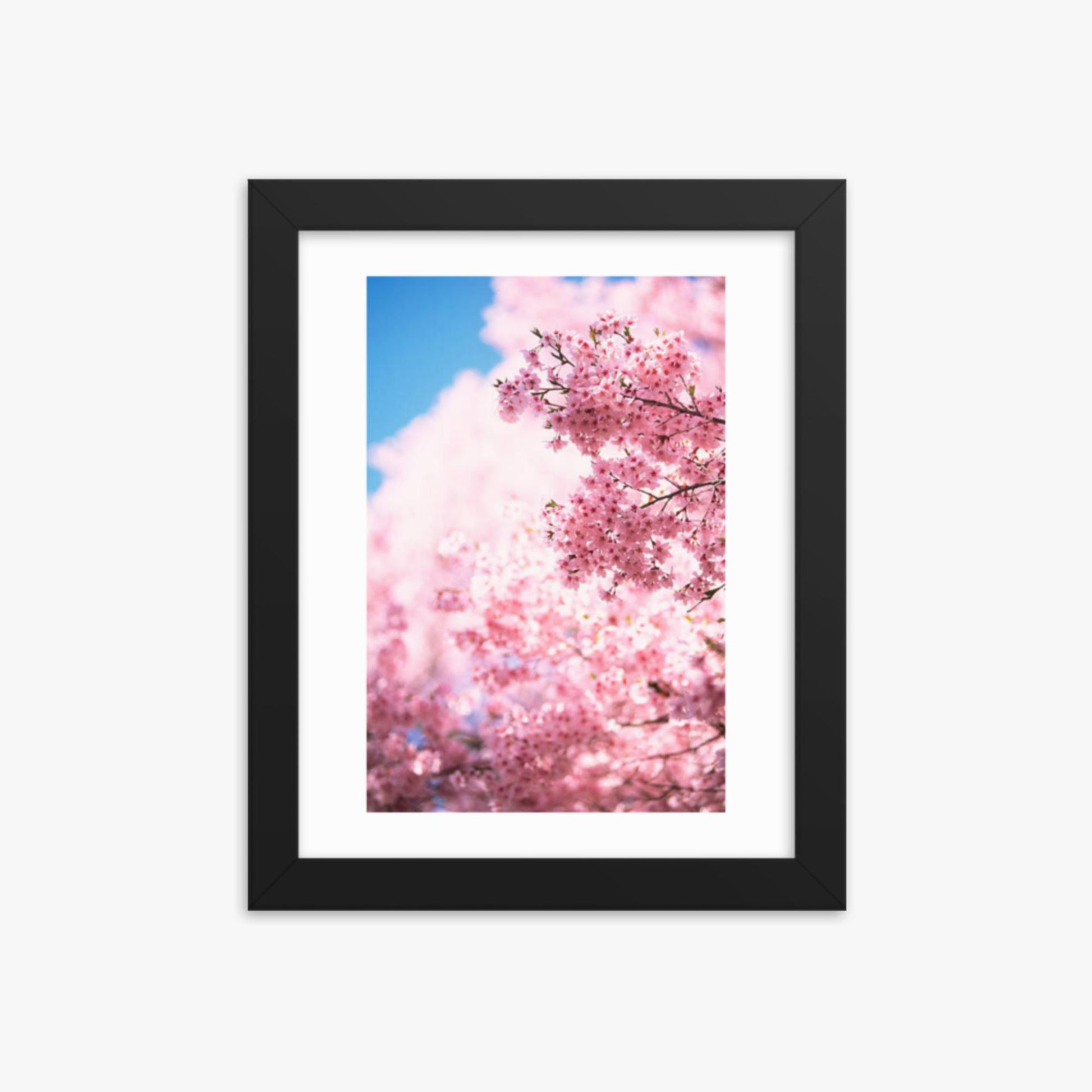 Cherry Blossoms 2 8x10 in Poster With Black Frame