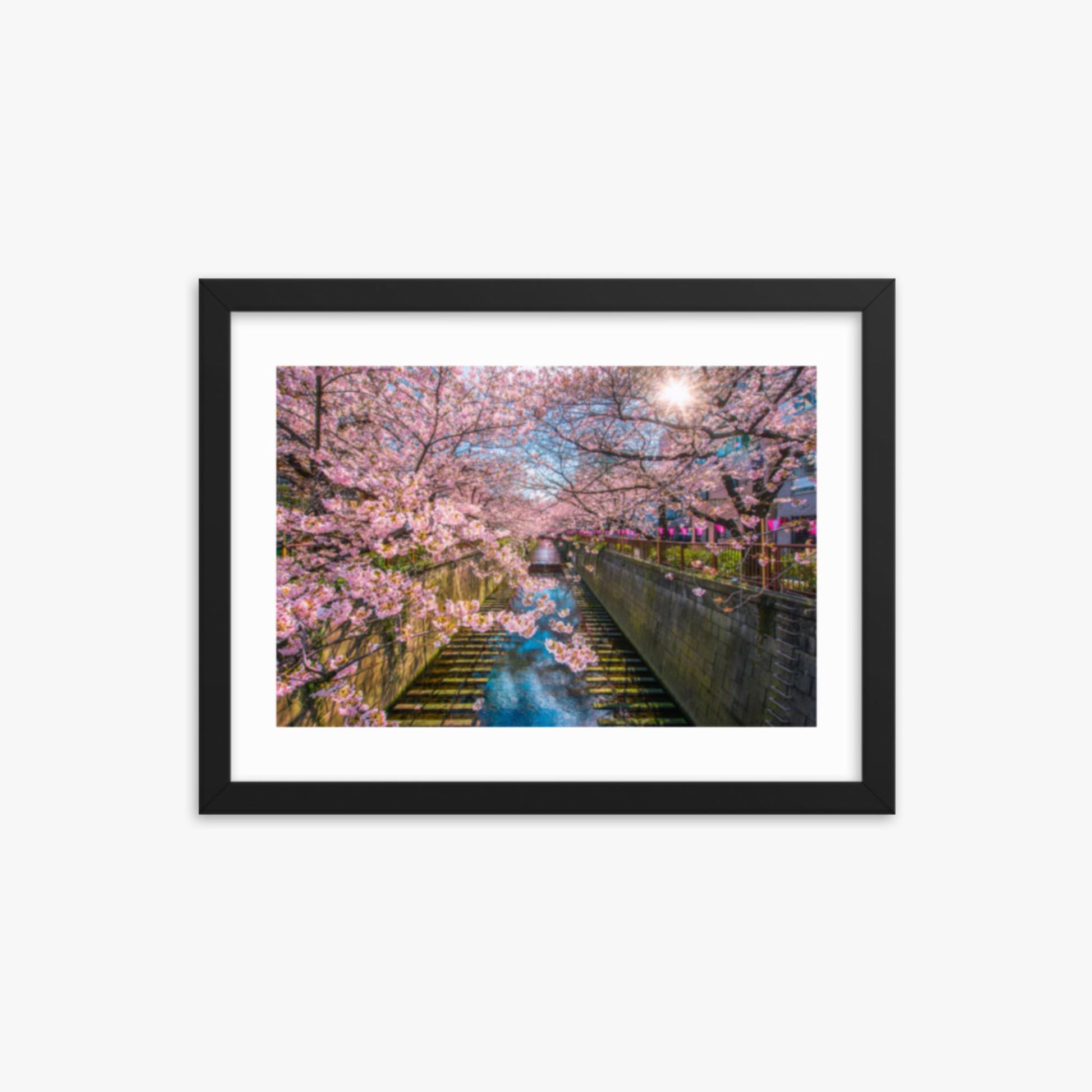 Cherry blossom sakura lined Meguro Canal in Tokyo 12x16 in Poster With Black Frame