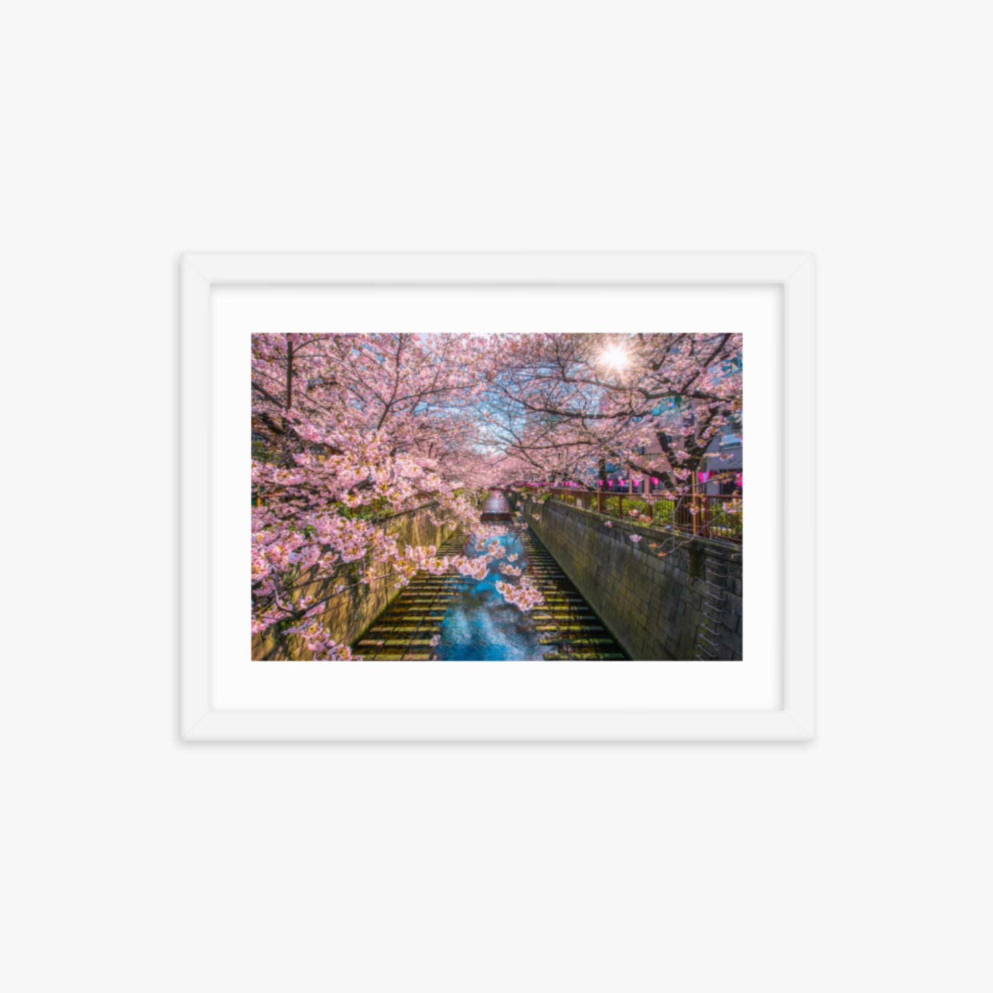 Cherry blossom sakura lined Meguro Canal in Tokyo 12x16 in Poster With White Frame