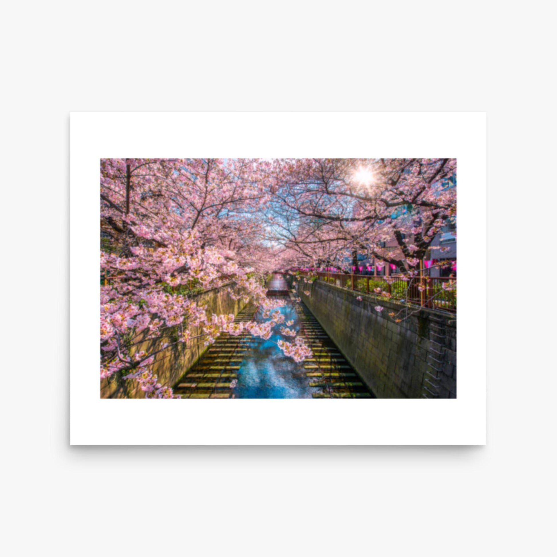 Cherry blossom sakura lined Meguro Canal in Tokyo 16x20 in Poster