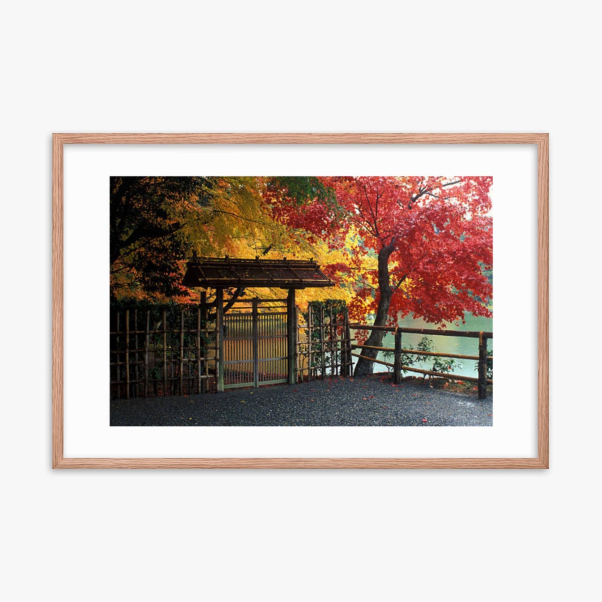 Entrace to Japanese Garden With Autumn Trees 24x36 in Poster With Oak Frame