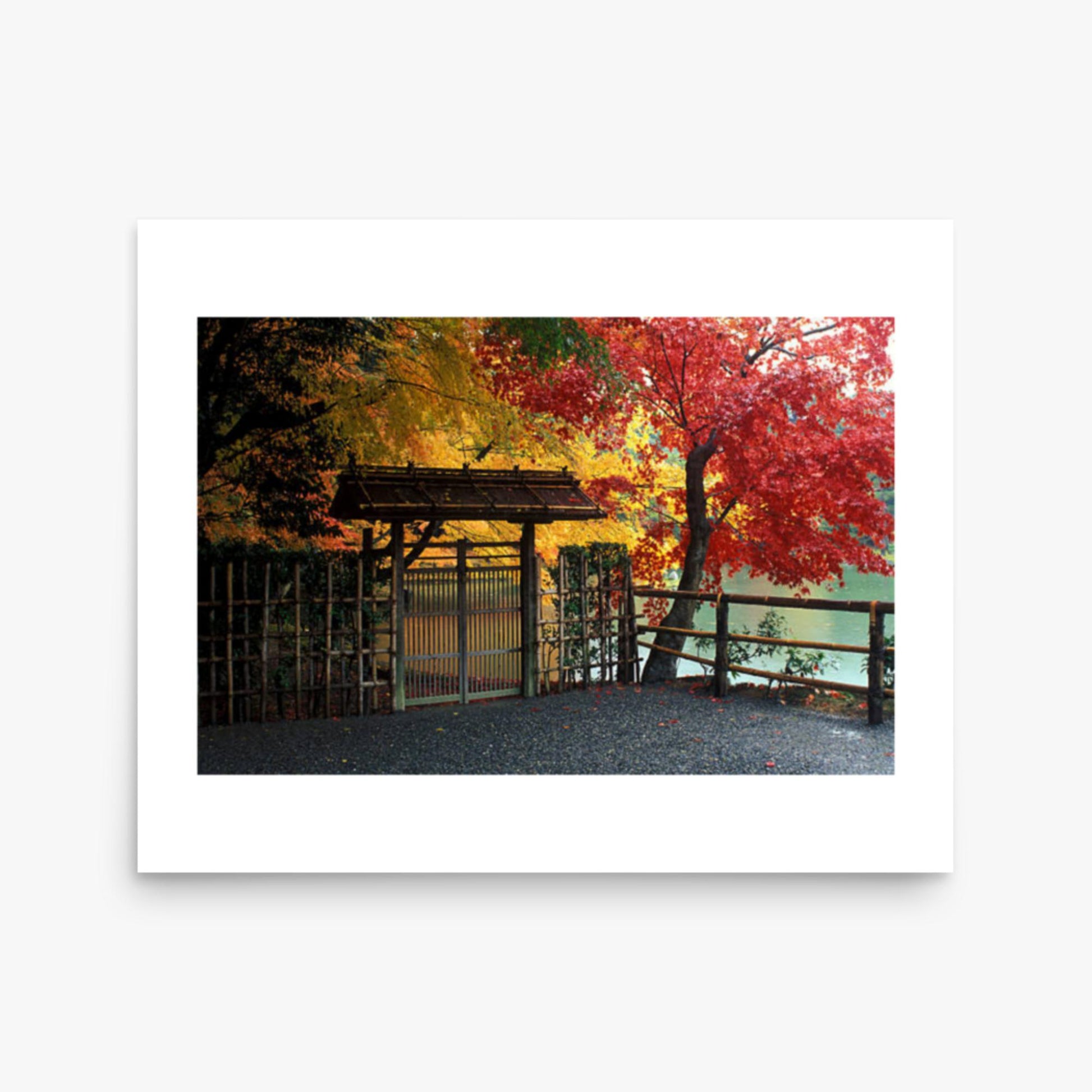 Entrace to Japanese Garden With Autumn Trees 16x20 in Poster