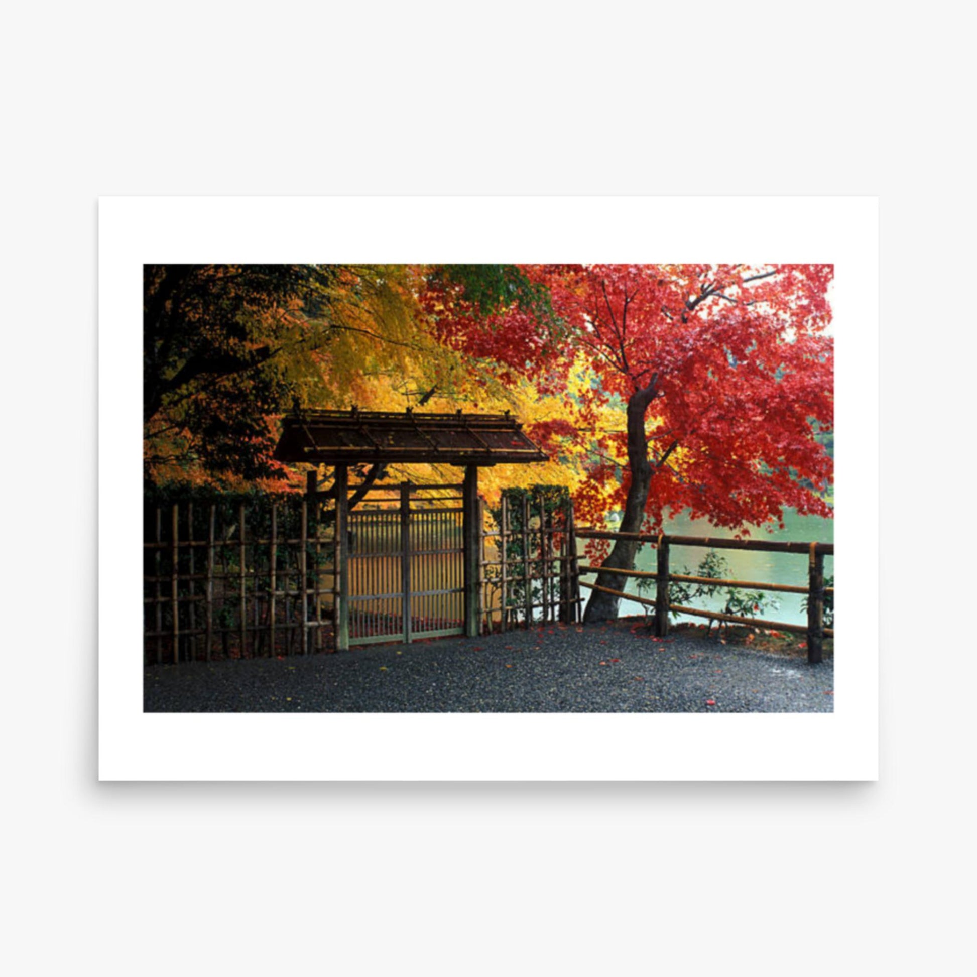 Entrace to Japanese Garden With Autumn Trees 18x24 in Poster