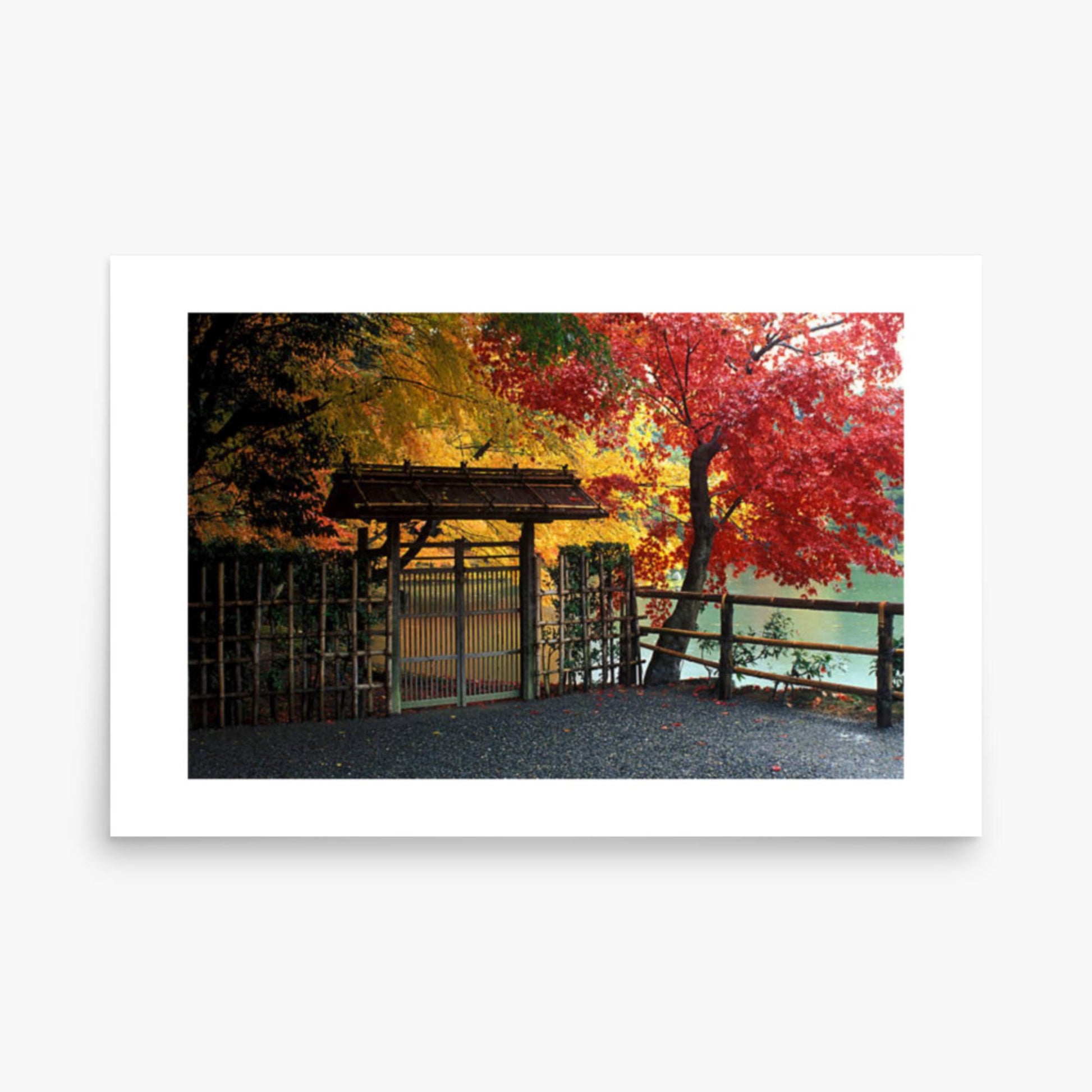 Entrace to Japanese Garden With Autumn Trees 24x36 in Poster