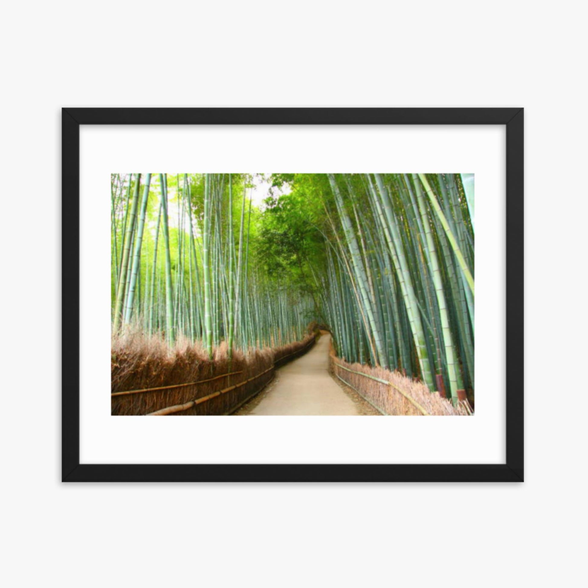 Bamboo grove in Kyoto 16x20 in Poster With Black Frame