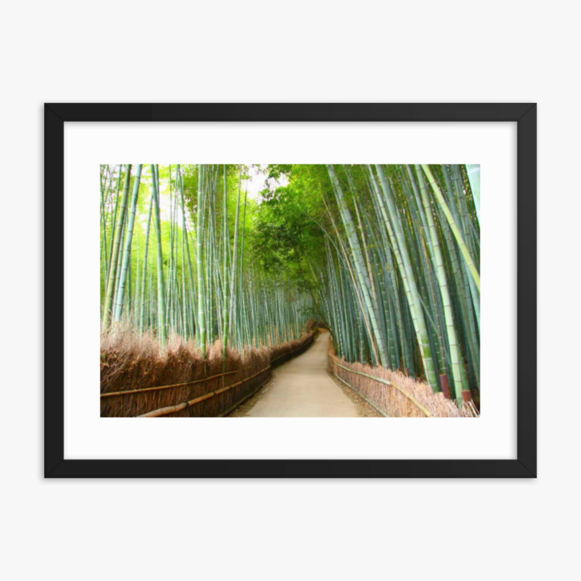 Bamboo grove in Kyoto 18x24 in Poster With Black Frame