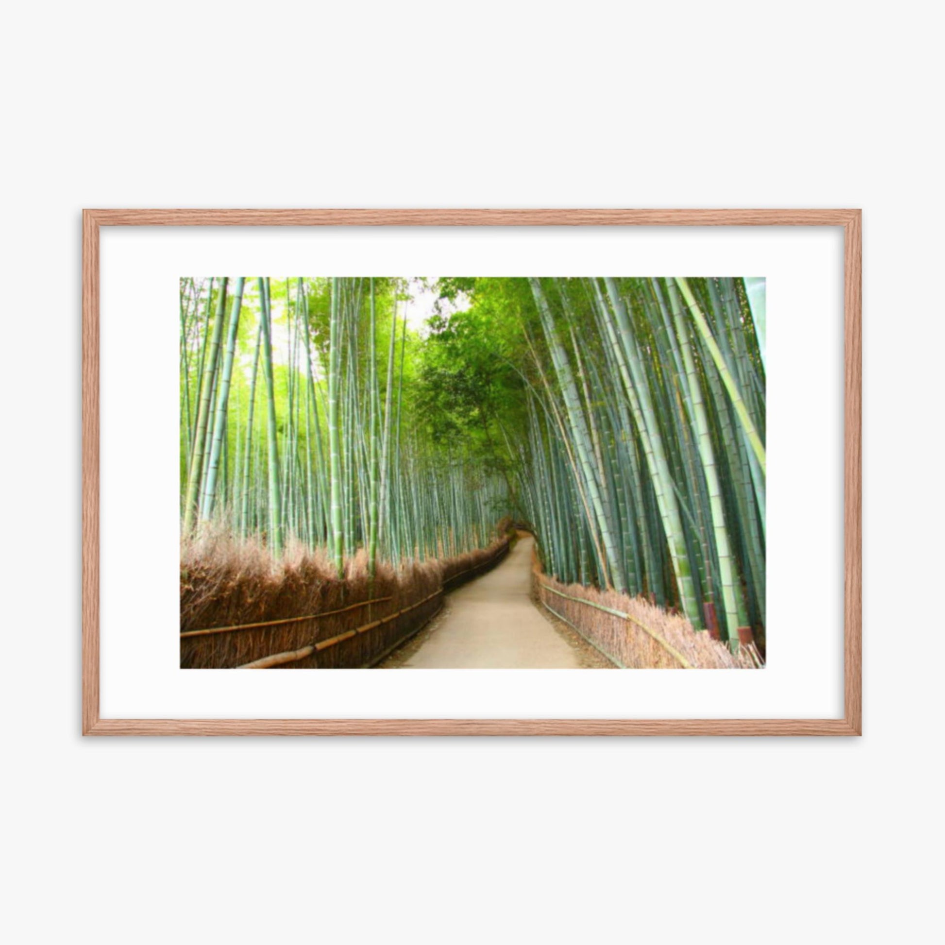 Bamboo grove in Kyoto 24x36 in Poster With Oak Frame