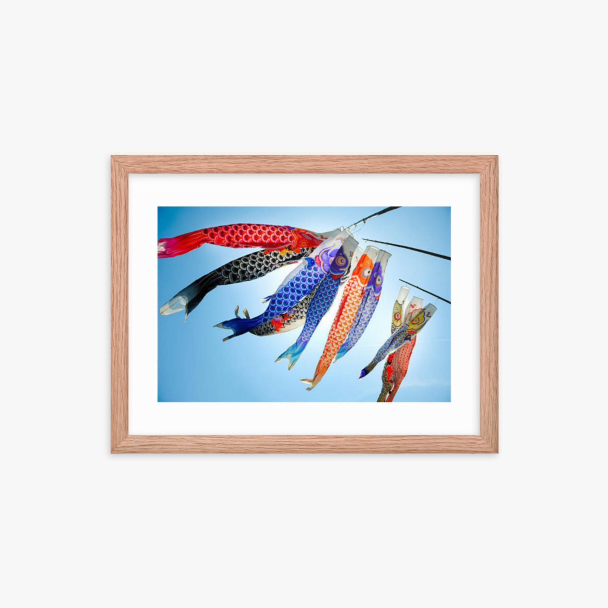 Koinobori 12x16 in Poster With Oak Frame