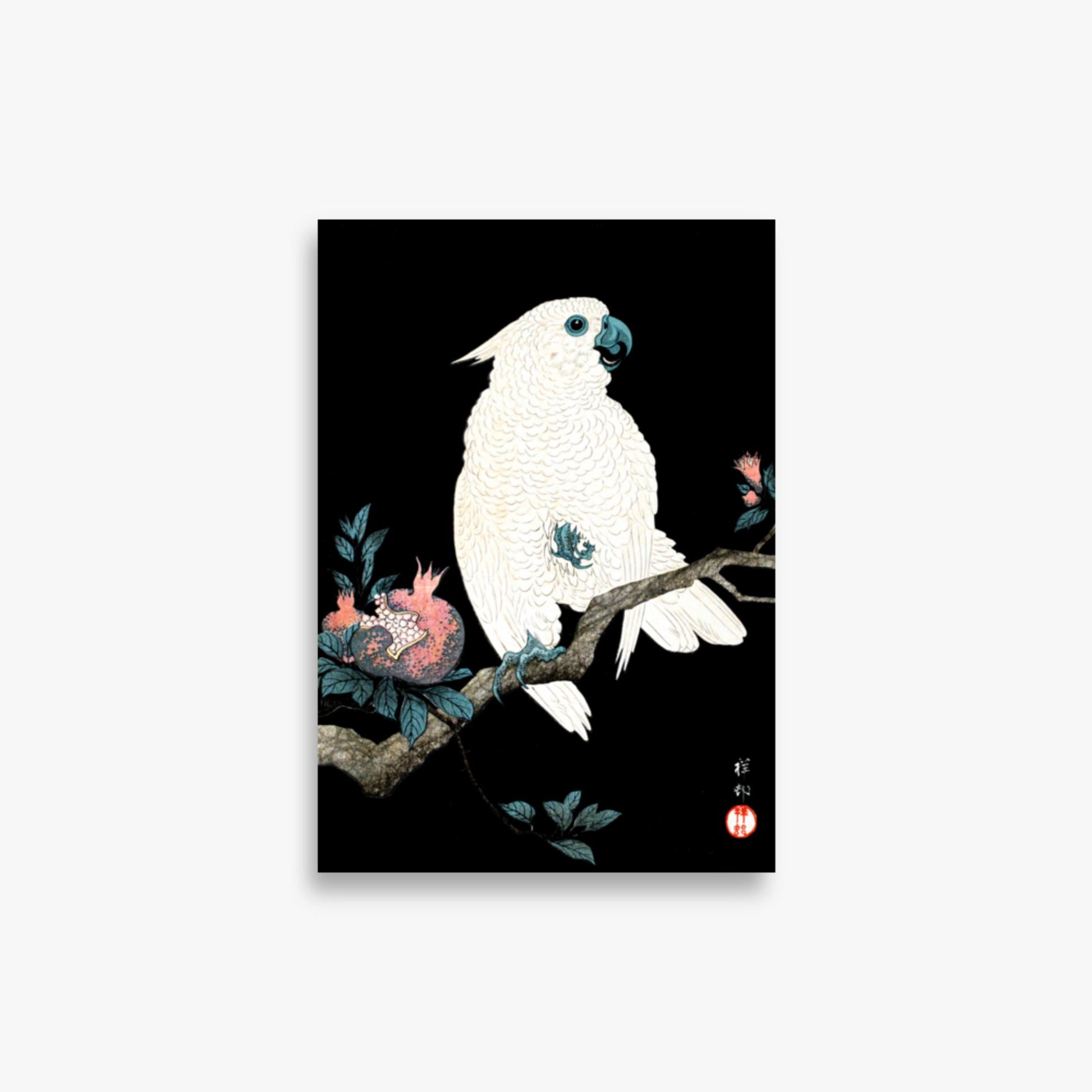 Ohara Koson - Cockatoo with Pomegranate 21x30 cm Poster