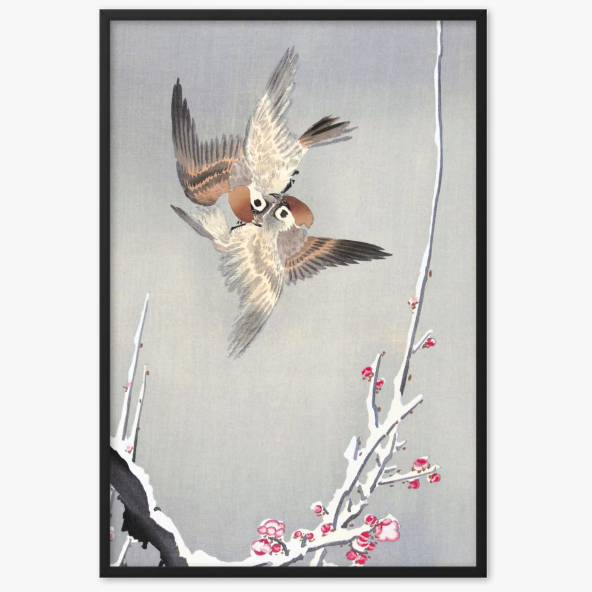 Ohara Koson - Sparrows and Snowy Plum Tree 61x91 cm Poster With Black Frame