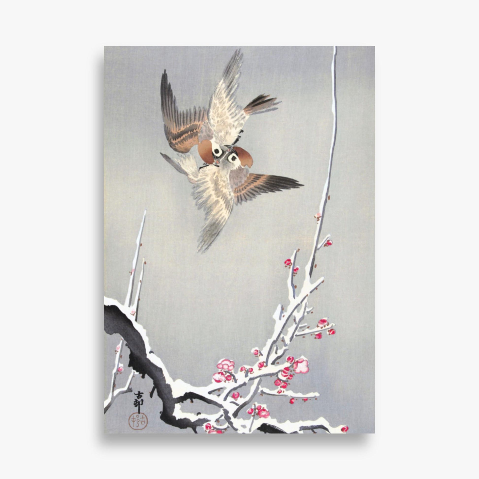 Ohara Koson - Sparrows and Snowy Plum Tree 70x100 cm Poster